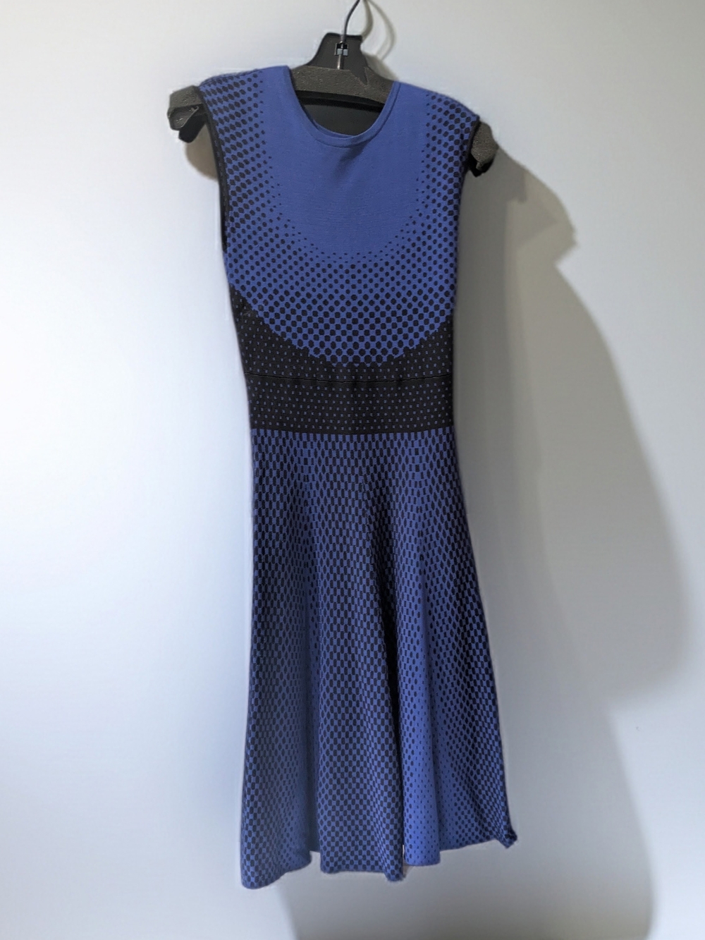 Muse Sleeveless Blue and Black Fit & Flare Dress